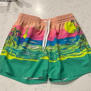 Chubbies Swim Shorts